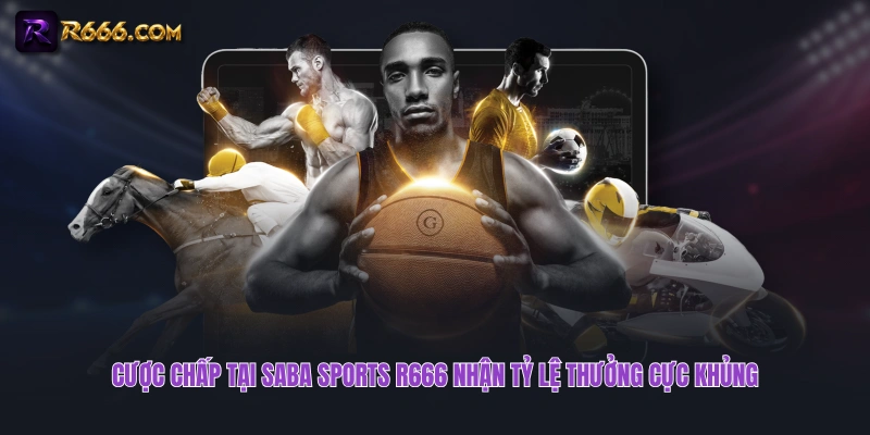 Cược chấp tại SABA Sports R666 nhận tỷ lệ thưởng cực khủng