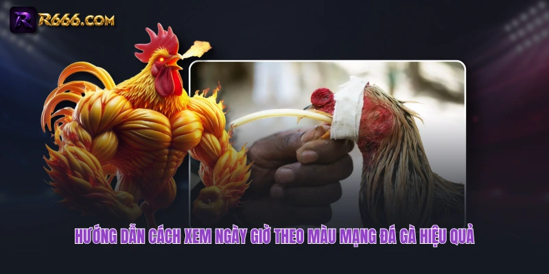 Hướng dẫn cách xem ngày giờ theo màu mạng đá gà hiệu quả
