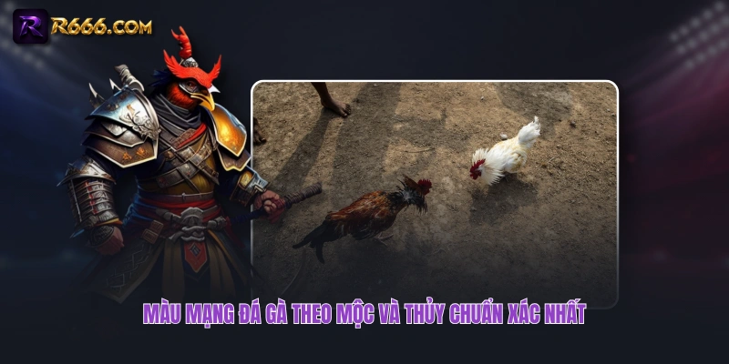 Màu mạng đá gà theo Mộc và Thủy chuẩn xác nhất