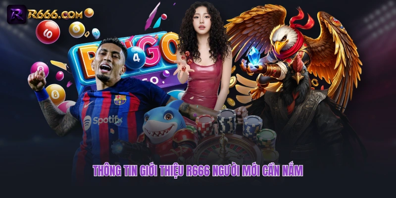 Thông tin giới thiệu R666 người mới cần nắm