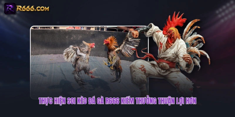 Thực hiện soi kèo đá gà R666 kiếm thưởng thuận lợi hơn