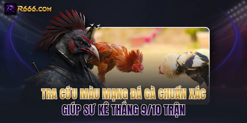 Tra Cứu Màu Mạng Đá Gà Chuẩn Xác Giúp Sư Kê Thắng 9/10 Trận
